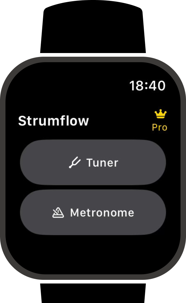 Strumflow Apple Watch Main Interface